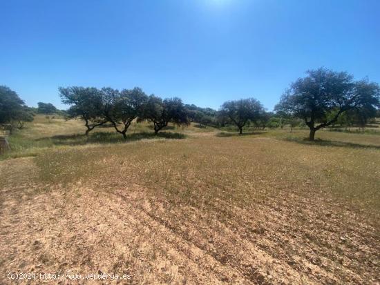 VENTA PARCELA CAMPOMANES - BADAJOZ