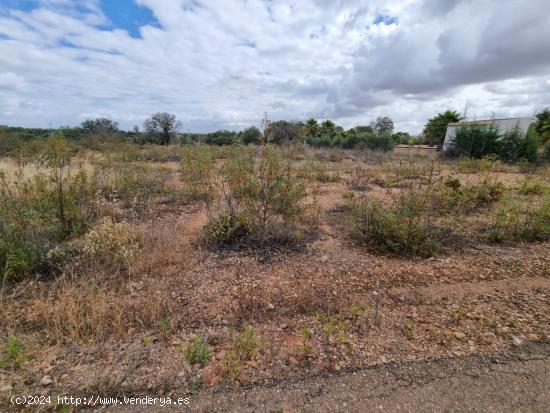 PARCELA RÚSTICA DE 5.000 M2 EN VENTA EN CAMPOMANES - BADAJOZ