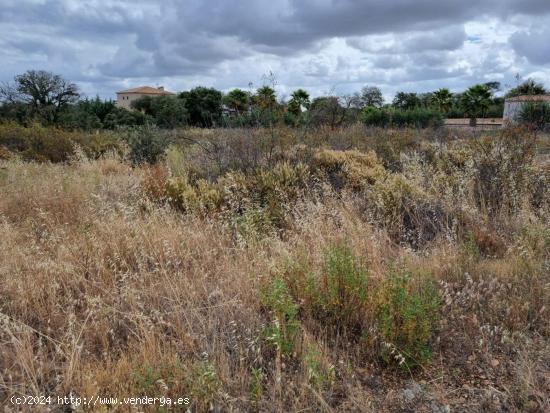 PARCELA RÚSTICA DE 5.000 M2 EN VENTA EN CAMPOMANES - BADAJOZ