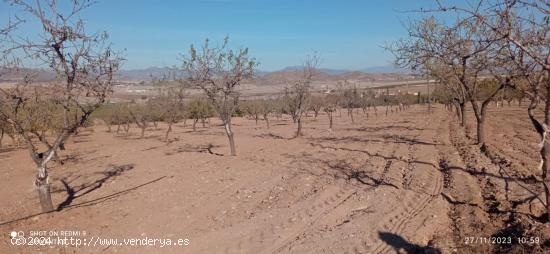  Terreno de regadío, La Escarihuela - MURCIA 