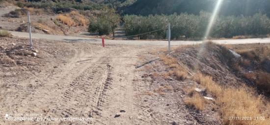 Terreno de regadío, La Escarihuela - MURCIA