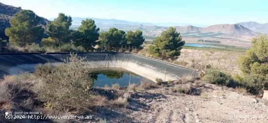  Terreno, pantano, almacén-caseta(La Escarihuela) - MURCIA 