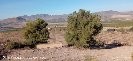 Terreno, pantano, almacén-caseta(La Escarihuela) - MURCIA