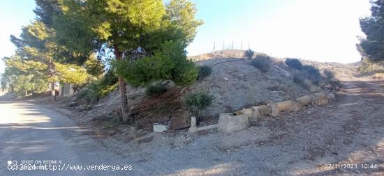 Terreno, pantano, almacén-caseta(La Escarihuela) - MURCIA