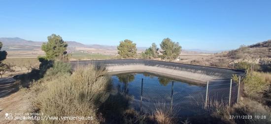 Terreno, pantano, almacén-caseta(La Escarihuela) - MURCIA