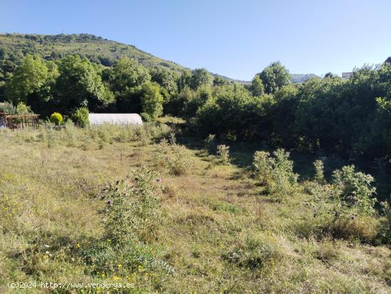 Casa con Huerto - NAVARRA