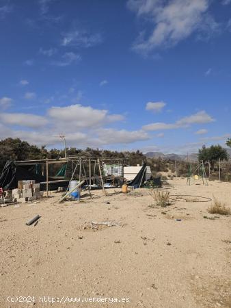 Terreno en Agost - ALICANTE