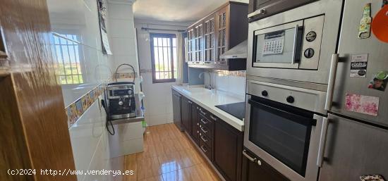 Ático tipo dúplex en venta en Patiño, Murcia. - MURCIA