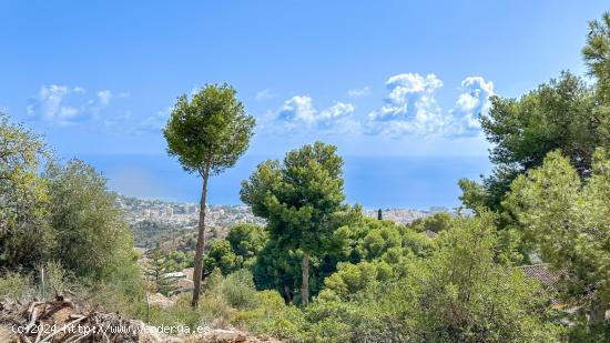  TERRENO URBANO EN PINARES DE SAN ANTÓN. MÁLAGA - MALAGA 