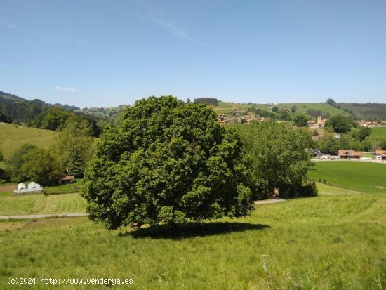  Un refugio de serenidad en Puente Viesgo: Terreno rústico con proyecto para casa🌿 - CANTABRIA 