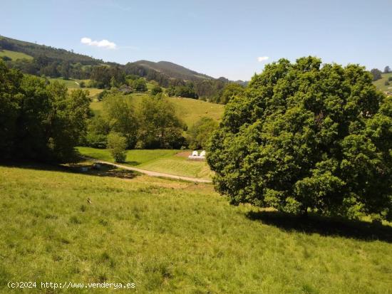 Un refugio de serenidad en Puente Viesgo: Terreno rústico con proyecto para casa🌿 - CANTABRIA