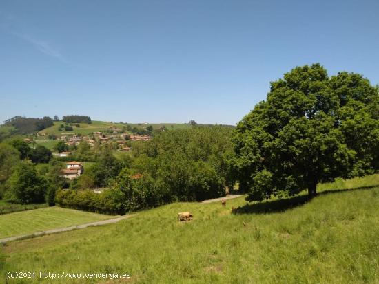 Un refugio de serenidad en Puente Viesgo: Terreno rústico con proyecto para casa🌿 - CANTABRIA