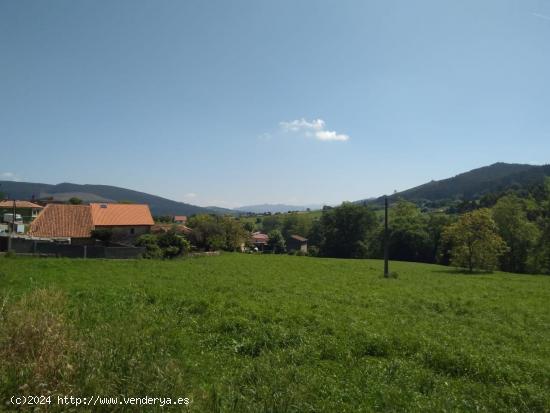 Un refugio de serenidad en Puente Viesgo: Terreno rústico con proyecto para casa🌿 - CANTABRIA