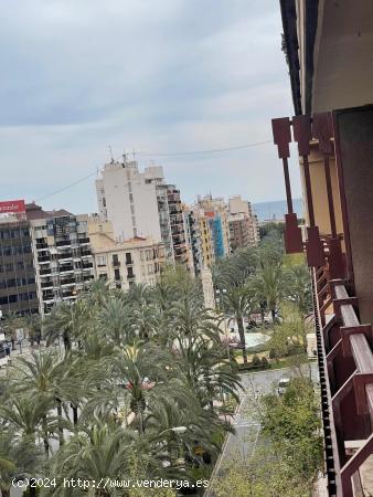 Amplia vivienda en la zona de Ensanche-Diputación. - ALICANTE