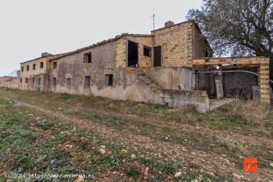  FINCA CON GRANJAS EN VENTA EN ULLDECONA (TARRAGONA) - TARRAGONA 