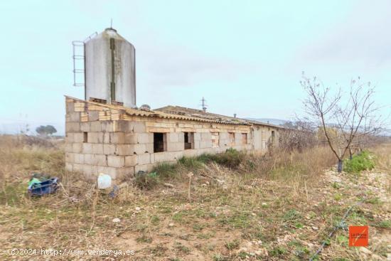 FINCA CON GRANJAS EN VENTA EN ULLDECONA (TARRAGONA) - TARRAGONA