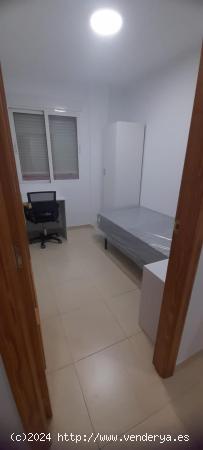 APARTAMENTOS A 10 MIN UCAM 1 O 2 HAB. - MURCIA