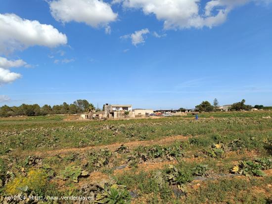  Finca Rustica con cedula de habitabilidad - BALEARES 