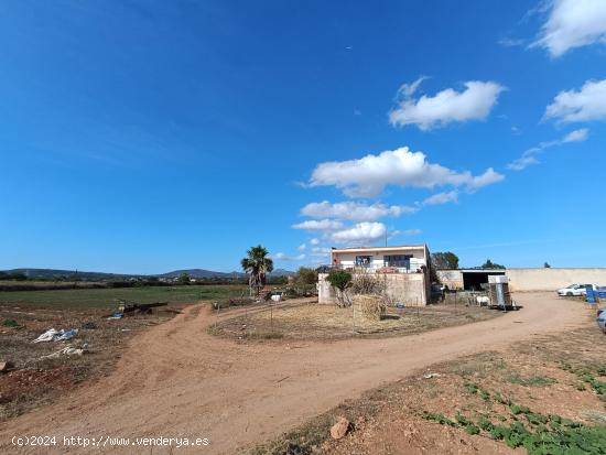 Finca Rustica con cedula de habitabilidad - BALEARES