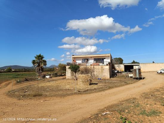 Finca Rustica con cedula de habitabilidad - BALEARES