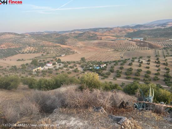 🌿🏡 Finca Excepcional en Venta - Olivos [amp ] Más en Morón de la Frontera 🌳 - SEVILLA