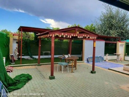 Casa Rural en Venta en Archena/Molina de Segura – ¡Oportunidad de Inversión! - MURCIA