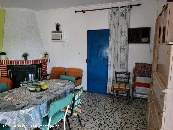 Casa Rural en Venta en Archena/Molina de Segura – ¡Oportunidad de Inversión! - MURCIA