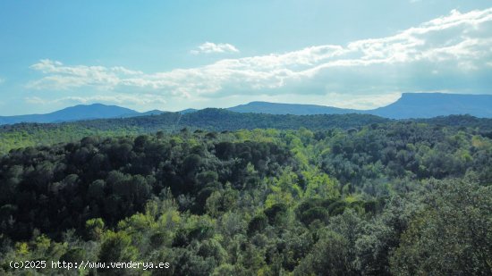 Masia en venta  en Sant Aniol de Finestres - Girona