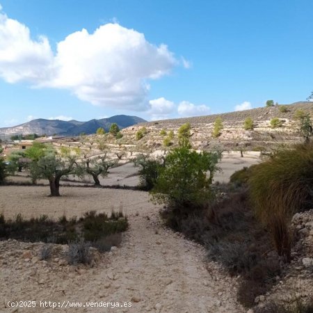 Encantadora Finca Rústica en Hondon de las Nieves con Vistas Espectaculares