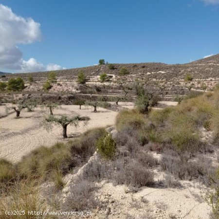 Encantadora Finca Rústica en Hondon de las Nieves con Vistas Espectaculares