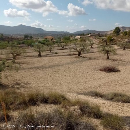 Encantadora Finca Rústica en Hondon de las Nieves con Vistas Espectaculares