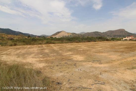 terreno en Aspe - ALICANTE