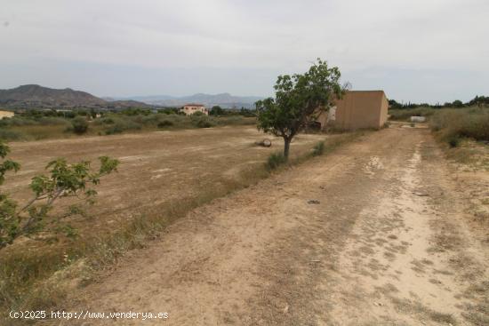 terreno en Aspe - ALICANTE