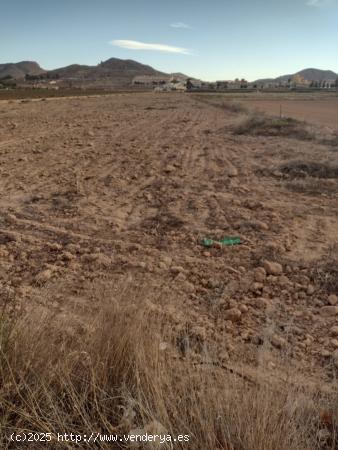 Terreno en Hondon de las Nieves - ALICANTE