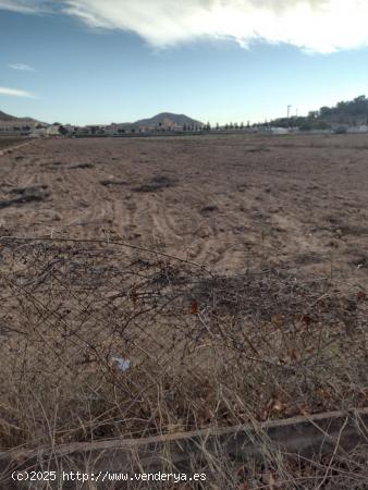 Terreno en Hondon de las Nieves - ALICANTE