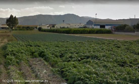 SE VENDE PARCELA RUSTICA JUNTO VEREDA MERANCHO, MONTEAGUDO - MURCIA