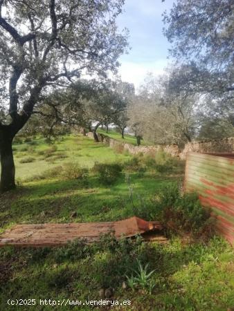 Finca con 20 Hectáreas a la venta en el mejor entorno rural de Sevilla - SEVILLA