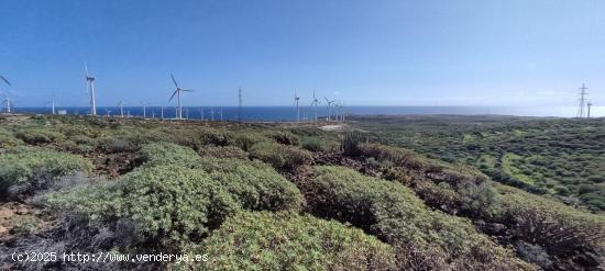 TERRENO EN ABADES, ARICO - TENERIFE SUR - SANTA CRUZ DE TENERIFE