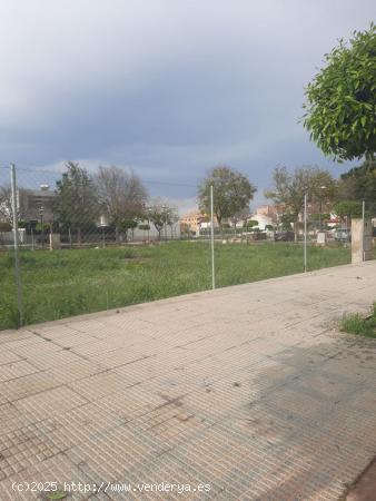 VENTA DE CUATRO PARCELAS EN BENIAJÁN. - MURCIA