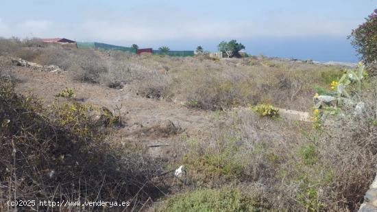 Terreno en Tijoco Bajo - SANTA CRUZ DE TENERIFE