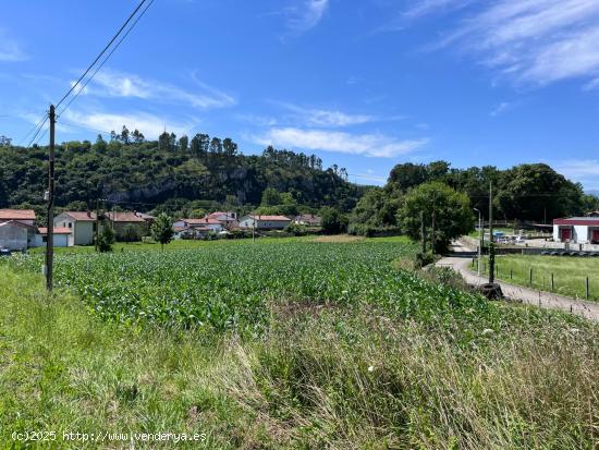 Suelo urbano residencial en GOLBARDO, Reocín - CANTABRIA