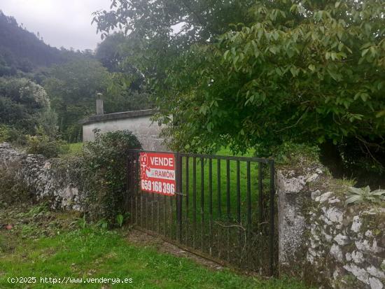 SE VENDE TERRENO URBANO EN ARREDONDO (CANTABRIA) - CANTABRIA