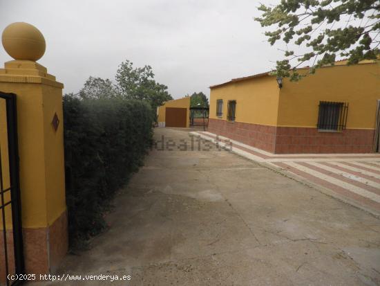 Se Vende en Argamasilla de Calatrava - CIUDAD REAL