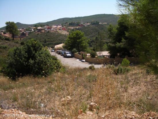 PARCELA CON MAGNÍFICAS VISTAS EN URB ALTURY DE TURIS - VALENCIA