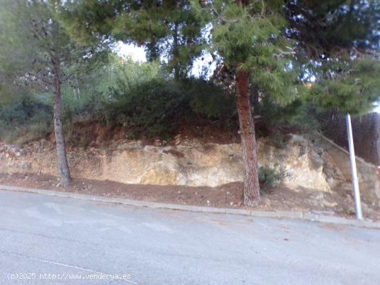 TERRENO CÉNTRICO EN SEGUR DE CALAFELL - TARRAGONA