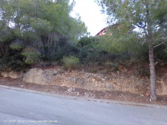 TERRENO CÉNTRICO EN SEGUR DE CALAFELL - TARRAGONA