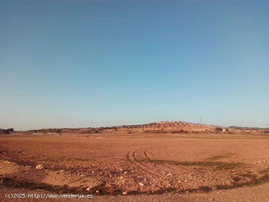  DOS PARCELA EN EL PARAJE DE ATALAYA - ALBACETE 