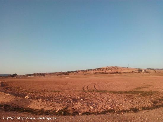 DOS PARCELA EN EL PARAJE DE ATALAYA - ALBACETE