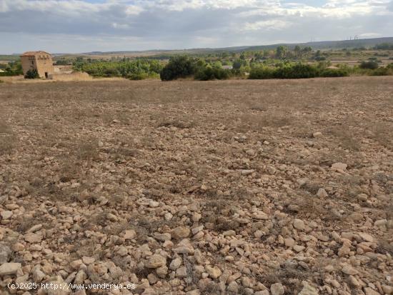 PARCELA DE 15.000 M2 EN PARAJE DE LOS ESPETONES. EXCELENTE UBICACION Y ACCESO - ALBACETE