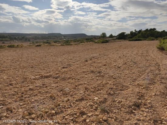 PARCELA DE 15.000 M2 EN PARAJE DE LOS ESPETONES. EXCELENTE UBICACION Y ACCESO - ALBACETE